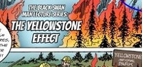 O efeito Yellowstone, ou, a armadilha da rigidez de pensamento